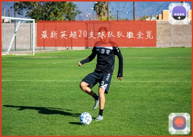 最新英超20支球队队徽全览