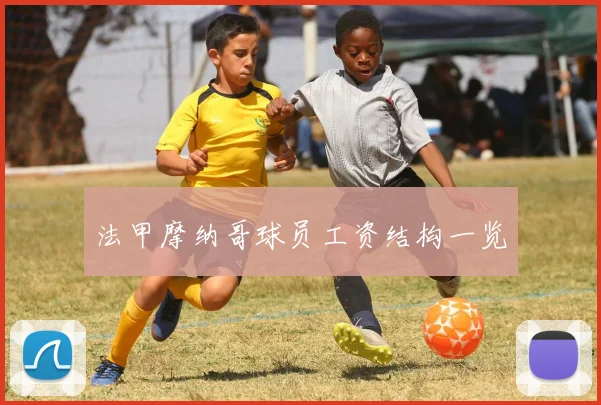 法甲摩纳哥球员工资结构一览