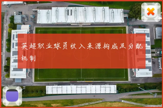 英超职业球员收入来源构成及分配机制